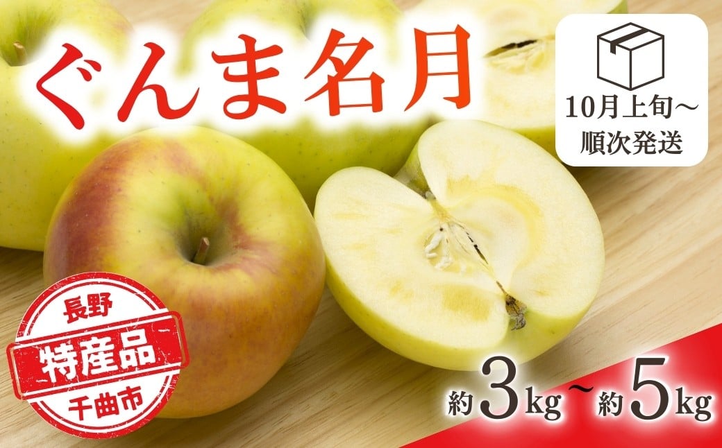 
                  【2026年先行予約】りんご ぐんま名月 約3kg / 約5kg | りんご 林檎 リンゴ 信州りんご 長野県 千曲市
                