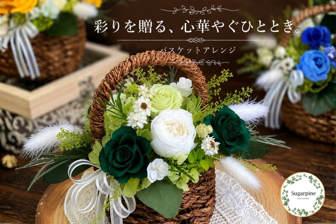 プリザーブドフラワー【コロレ グリーン】【埼玉県 春日部市 シュガーパイン グリーンローズ バスケットアレンジ ナチュラル 花】(AJ033-1)