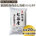 【ふるさと納税】【令和6年産新米先行予約】新潟県加茂市 七谷産コシヒカリ 玄米20kg（5kg×4） 選べる配送回数（通常配送1回～定期便12回） 高柳地域産数量限定 昇徳会