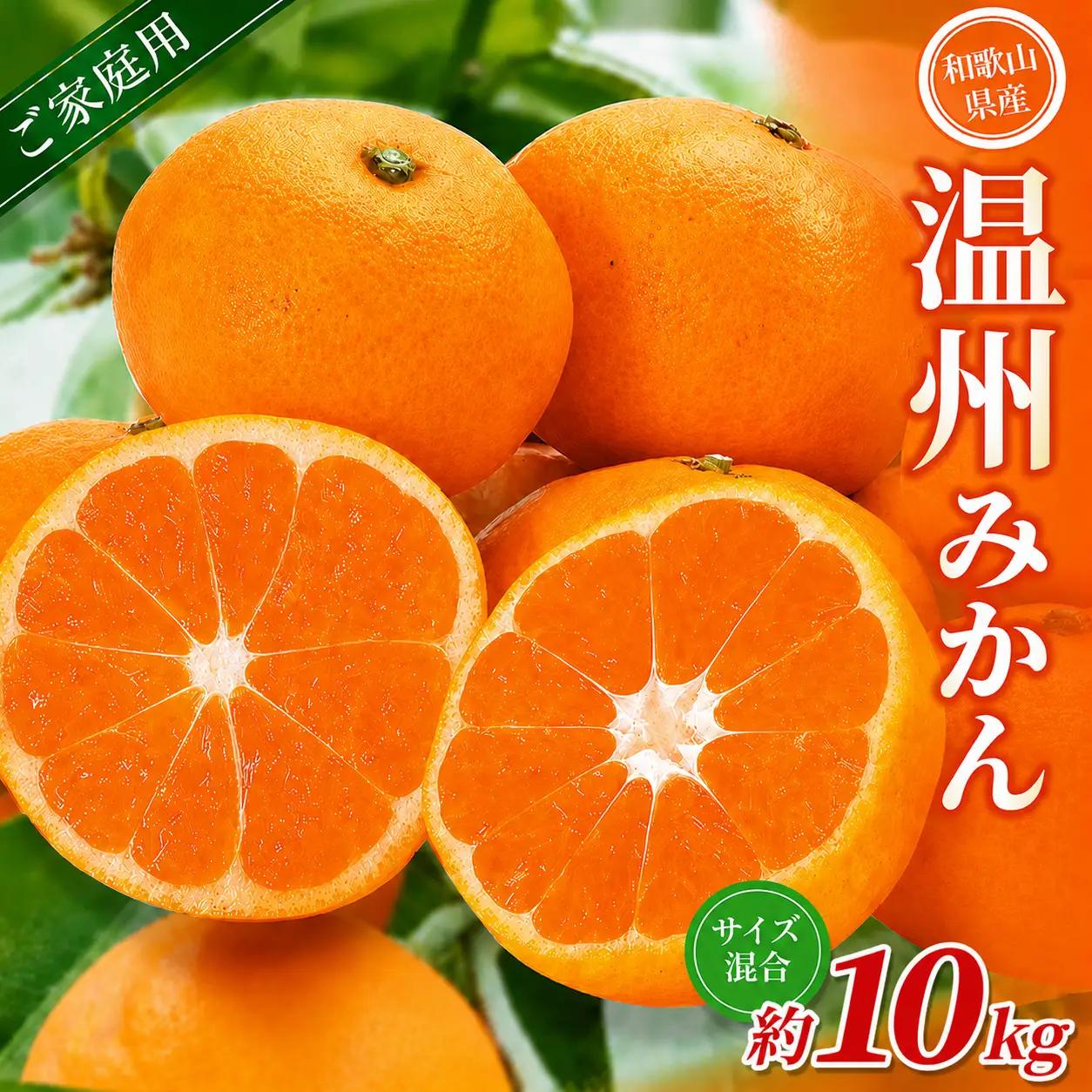 みかん【家庭用】 森本農園 約10kg 【2026年10月中旬～2027年2月中旬ごろに順次発送】【BV90031-mrmt031】