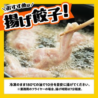 【12ヶ月定期便】宮崎 手羽ぎょうざ 16本 1kg　鶏肉餃子鳥ギョウザ手羽先ぎょうざ手羽餃子ぎょうざギョーザ定期便おつまみ餃子送料無料餃子 [E7214t12]