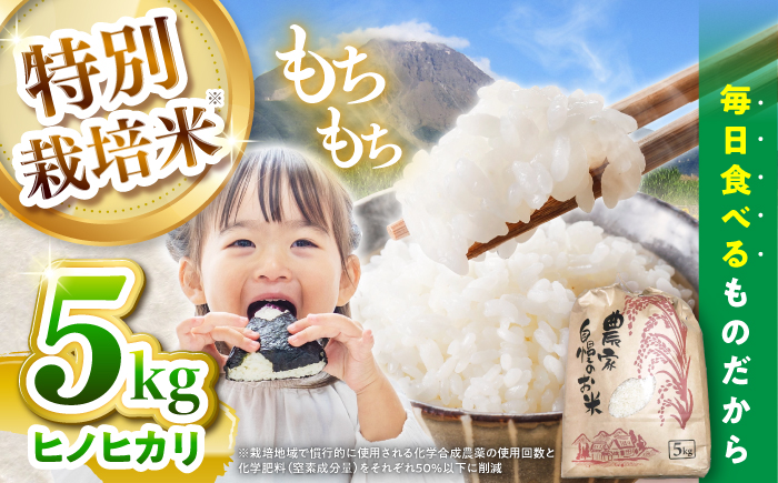 【特別栽培米】 ヒノヒカリ 5kg / 米 精米 白米 ごはん ご飯 ひのひかり / 南島原市 / 農家民宿　いちご一会 [SBN001]