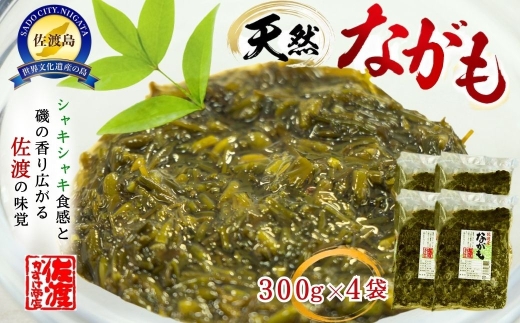 【佐渡産 天然ながも（アカモク）】300g×4袋 ねばねば海藻 新潟の呼び名ながも | 新潟県産ながも 佐渡産ながも 佐渡島産アカモク ながも ナガモ アカモク あかもく 海藻 かいそう 海産物 ねばねば 味噌汁 酢の物 ごはんのお供 にいがた さど 新潟県 佐渡市