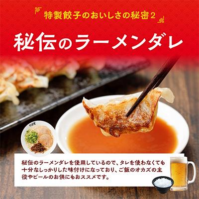 ふるさと納税 宮崎市 宮崎の人気ラーメン店悠瑠里の作る特製餃子72個(12個×6パック) |  | 02