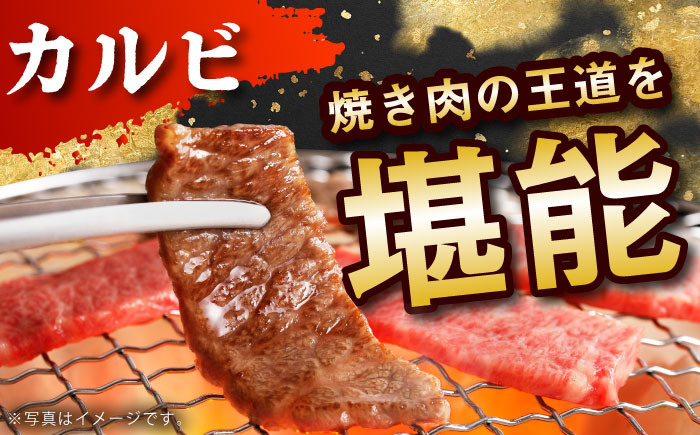 【奇数月発送】佐賀牛リッチセレクション定期便【多久精肉店】 [HCX006]