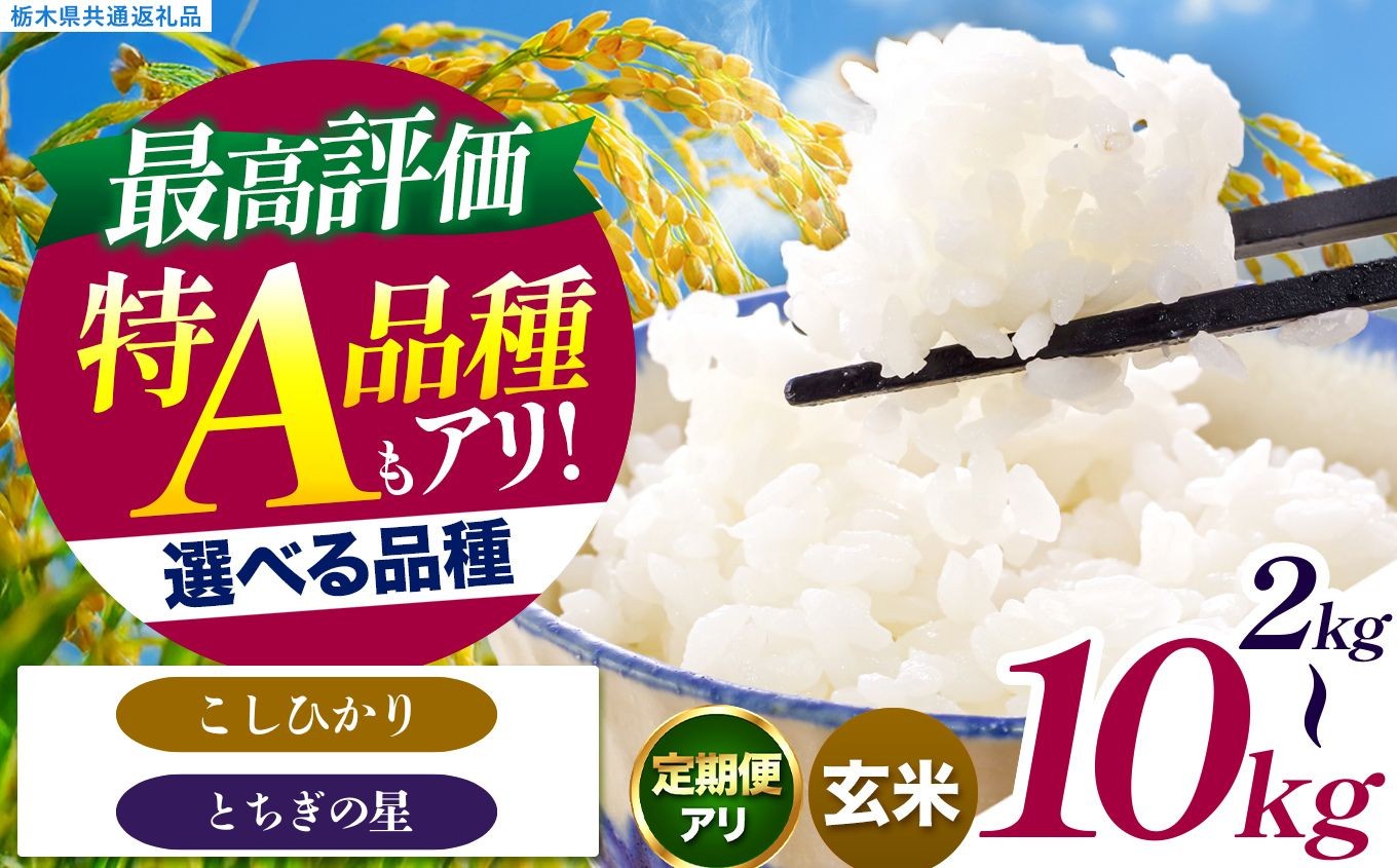 
                  いちご農家さん応援米！ 訳あり 令和7年度産 玄米 選べる 銘柄 容量  約2kg～10kg こしひかり とちぎの星 | 真岡市産 訳あり 米  お米 こめ 玄米 ご飯 ごはん もちもち コシヒカリ にじきら 限定 ふるさと納税 栃木県 真岡市 送料無料 
                
