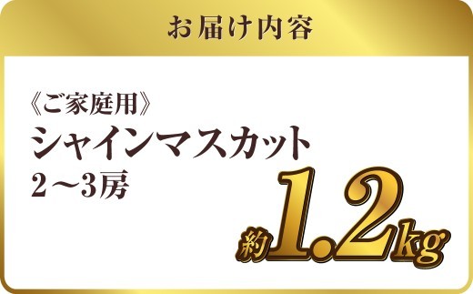 《ご家庭用》 シャインマスカット 2～3房（合計約1.2kg）