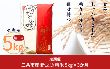 [定期便5kg×3ヶ月] 新之助 新潟県三条市 令和7年産新之助 外山敏雄商店