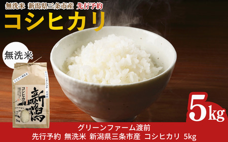 無洗米 先行予約 コシヒカリ 無洗米 5kg 無洗米 新潟県三条市産 令和7年産 無洗米 2025年産 無洗米