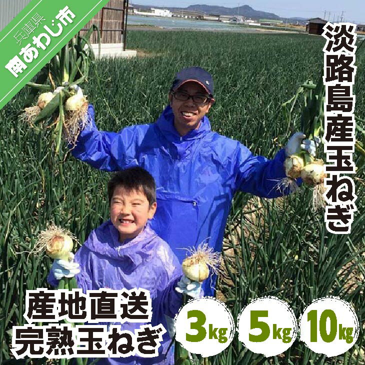 【ふるさと納税】淡路島産 玉ねぎ【3kg・5kg・10kg】　◆配送5月上旬〜