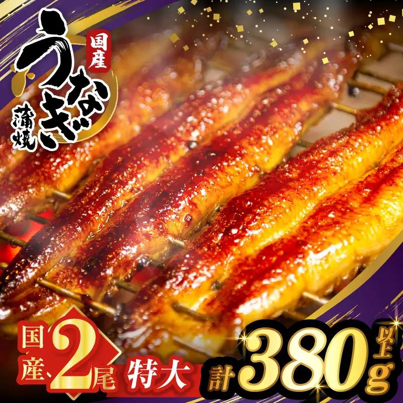うなぎ蒲焼特大2尾(さんしょう・たれ付き)計380g以上 鰻 魚 魚介 加工品 国産_T026-0065