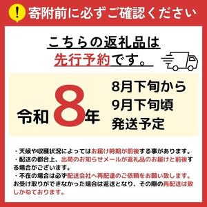 【2026年先行予約】 デラウェア  約2kg (11～14房) 【8月下旬以降発送予定】 