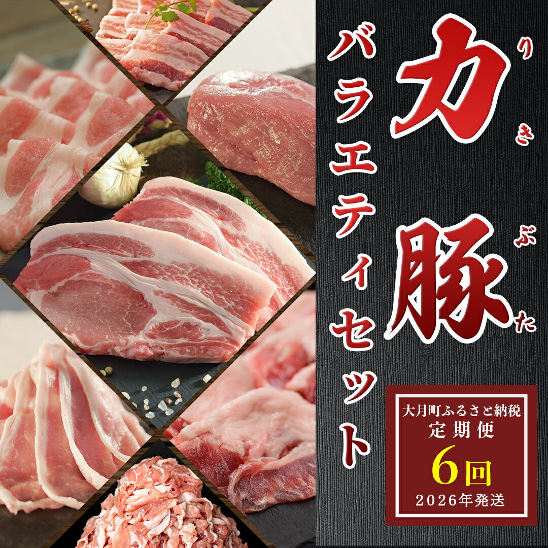 【ふるさと納税】【定期便 6回】ブランド豚 力豚バラエティーセット