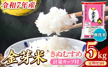 BG無洗米・金芽米きぬむすめ 5kg×3ヵ月 定期便 [毎月] 計量カップ付き 令和7年産 3ヶ月 計15kg 東洋ライス 健康 島根県 安来市【価格改定】
