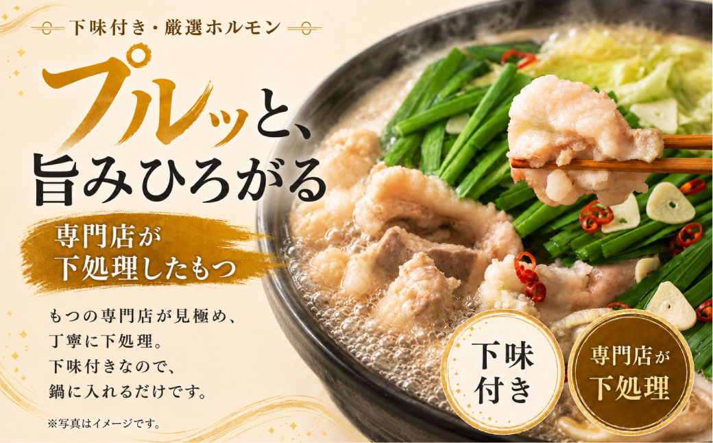 博多醤油もつ鍋【訳あり】セット2人前【メール便対応】 【醤油味】2人前