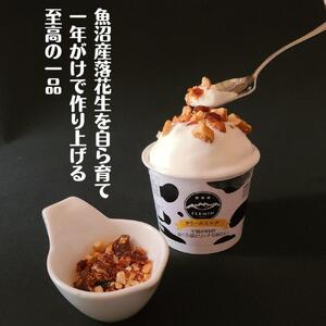 フレミンジェラート｜ミルク味（110ml×８個） と ピーナッツのプラリネ（65ｇ×1袋）グランプリ受賞品