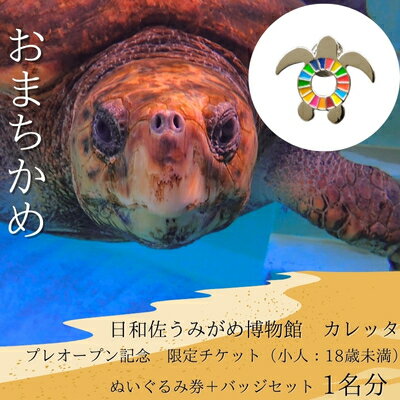 【ふるさと納税】プレオープン記念　限定チケット（小人：18歳未満）ぬいぐるみ券＋バッチセット　1名分