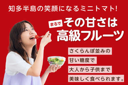 有機栽培ミニトマト　知多アモーレトマト　約500g 甘い 濃い 旨味 安心 栄養 リコピン 高糖度 フルーツトマト 有機肥料 化学肥料不使用 袋培地栽培 野菜 お取り寄せ 愛知県 知多市 知多半島 特