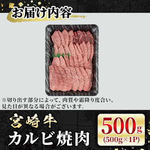 宮崎牛 カルビ焼肉(500g) 牛肉 肉 ブランド牛  冷凍 国産 精肉 お取り寄せ 黒毛和牛 宮崎県 【LJ010】【レグセントジョイラー株式会社】