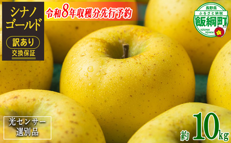 【 感謝りんご / 光センサー選別品 】 りんご シナノゴールド 訳あり 10kg （ 24玉 〜 50玉 ） 交換保証 ながの農業協同組合 沖縄県への配送不可 2026年11月上旬頃から2026年11月下旬頃まで順次発送予定 令和8年度収穫分 傷 不揃い リンゴ 林檎 果物 フルーツ 信州 長野  予約 長野県 飯綱町 [1209]