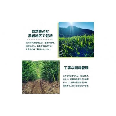 ふるさと納税 佐川町 【佃煮2袋・シロップ1個】ごはんのお供(A) |  | 03