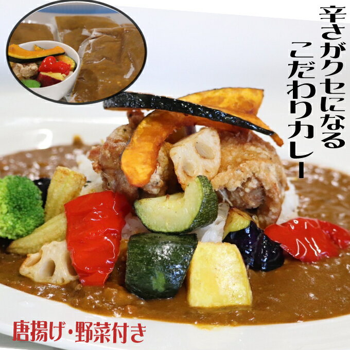 【ふるさと納税】海土こだわり大人のカレー kd004