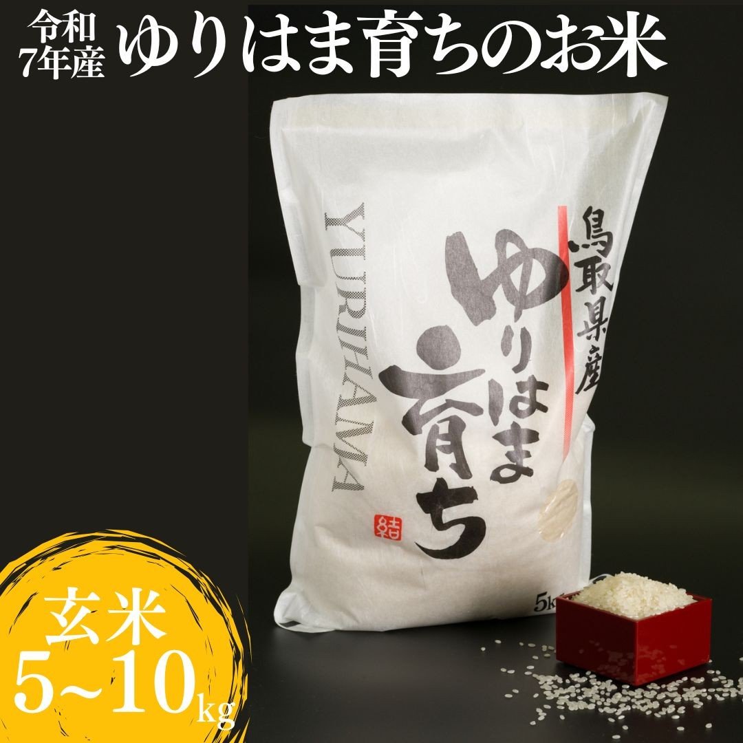
            ゆりはま育ちのお米◇玄米◇令和7年産
          