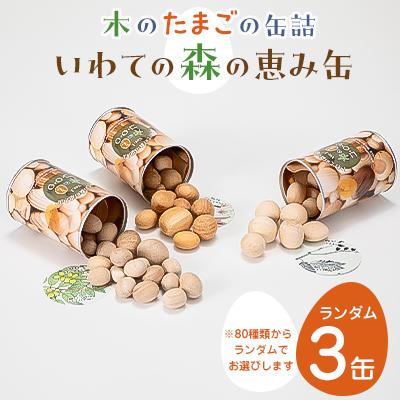 ふるさと納税 岩泉町 「いわての森の恵み缶」ランダム3缶set　“木のたまごコロロ”
