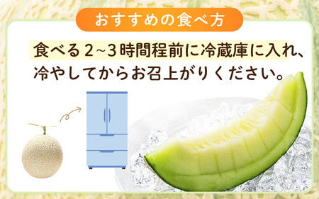 【先行予約】【数量限定】三里浜アンデスメロン 2L以上 × 2玉 【2026年6月下旬より順次発送】 [A-16512]