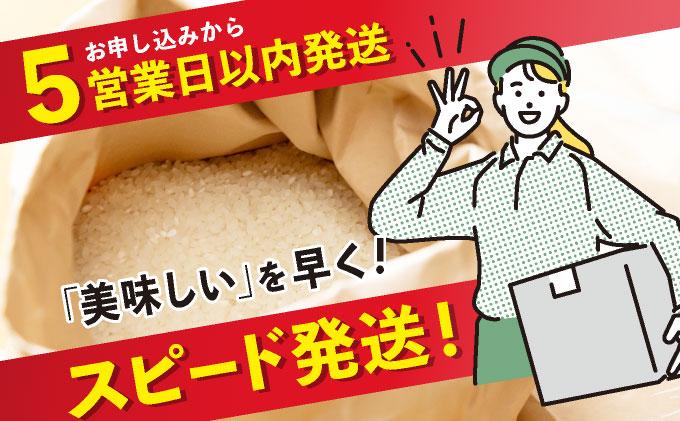 福岡県産元気つくし 白米10kg|福岡県産 元気つくし 白米 10kg 精米 米 国産 九州産 お米 ご飯 ふるさと納税 福岡県 那珂川市 10kg
