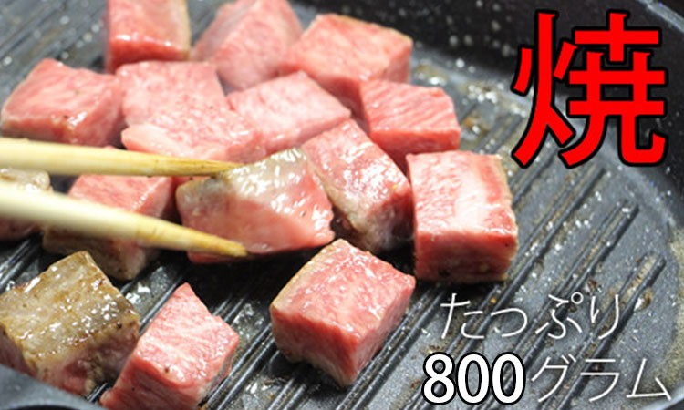 訳あり 佐賀牛 サイコロ ステーキ 牛肉 バーベキュー 焼肉 BBQ 国産 黒毛和牛 800g ブランド牛 佐賀県 小城市