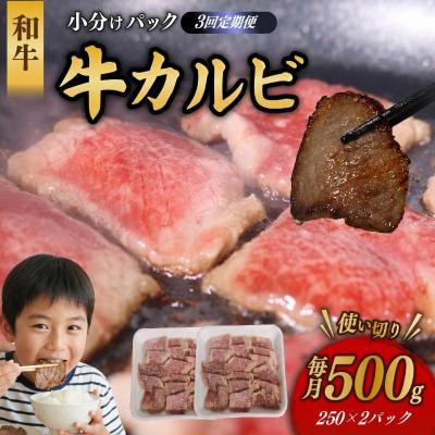 ふるさと納税 室戸市 【3回定期便】 和牛 カルビ 500g 牛肉 焼肉