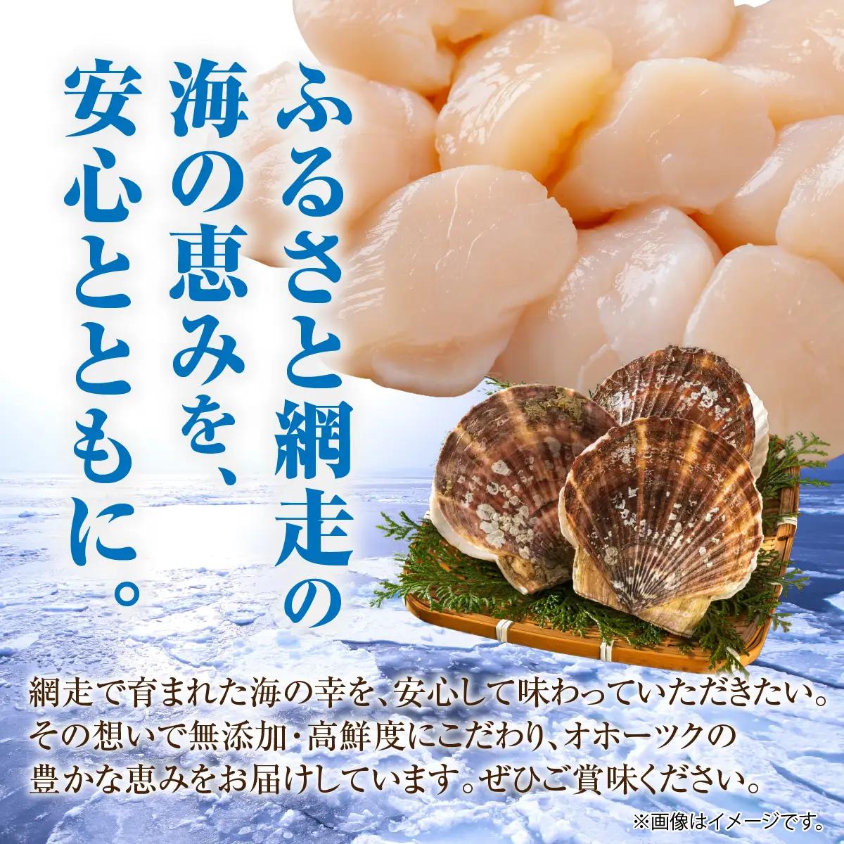 ＼ 数量限定 ／【訳あり】ホタテフレーク 網走前浜産 無添加ホタテ貝柱 1kg（500g×2）ABAI045｜ほたて ホタテ 帆立
