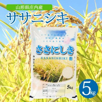 ふるさと納税 酒田市 【令和7年産米】【山形県庄内産】ササニシキ5kg×1袋 精米