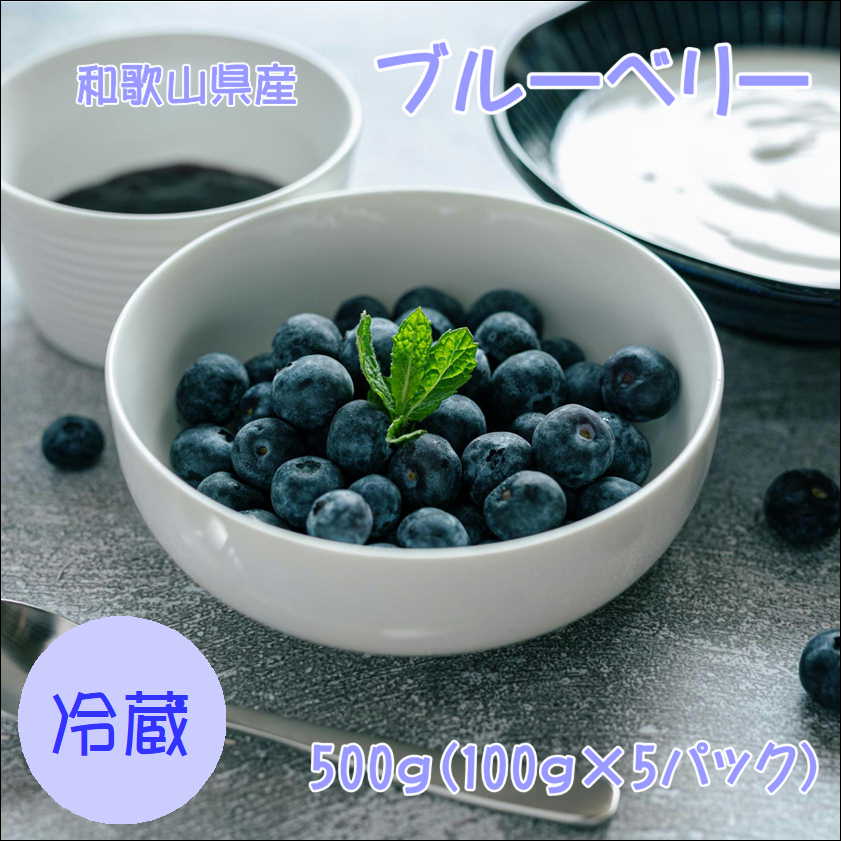 【ふるさと納税】 【6月下旬より順次発送予定】ブルーベリー　500g（100g×5） | ブルーベリー 果物 くだもの フルーツ 和歌山