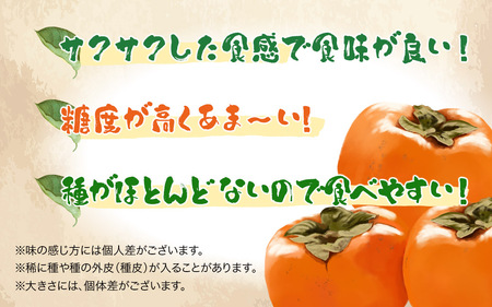 秋の贅沢、濃厚であま～い柿の新ブランド「秋王」約1.75 kg 072-196