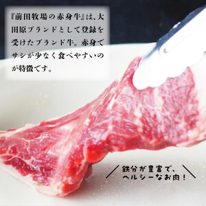 大田原ブランド認定牛 前田牧場の赤身牛100％使用 手ごねハンバーグ 140ｇ×5個  | 牛肉 高級 ブランド牛 ハンバーグ 手作り