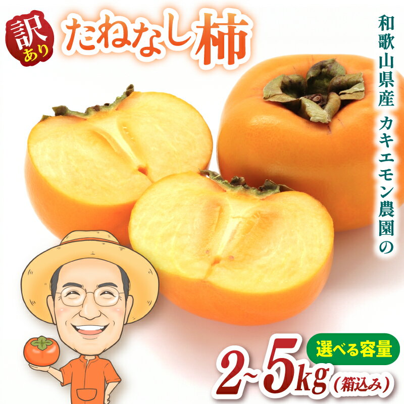 【ふるさと納税】 【訳あり・ご家庭用】たねなし柿 約2kg / 約5kg (箱込み) カキエモン農園【2026年9月下旬〜10月末頃順次発送】 | 柿 かき フルーツ 果物 くだもの 食品 人気 おすすめ 送料無料 産地直送