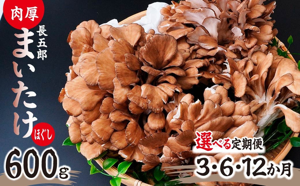 
            【選べる定期便】まいたけ 長五郎まいたけ ほぐし 300g×2個 1回分 3ヶ月 6ヶ月 12ヶ月まいたけ｜舞茸 まいたけ レシピ付き ジューシー ステーキ 天ぷら 炊き込みご飯 舞茸ご飯 ごはん きのこ 野菜 丸ごと 国産 無農薬 安全 安心 食物繊維 健康  カロリー 低い 産地直送 プレゼント ギフト 贈り物 群馬県 前橋市
          
