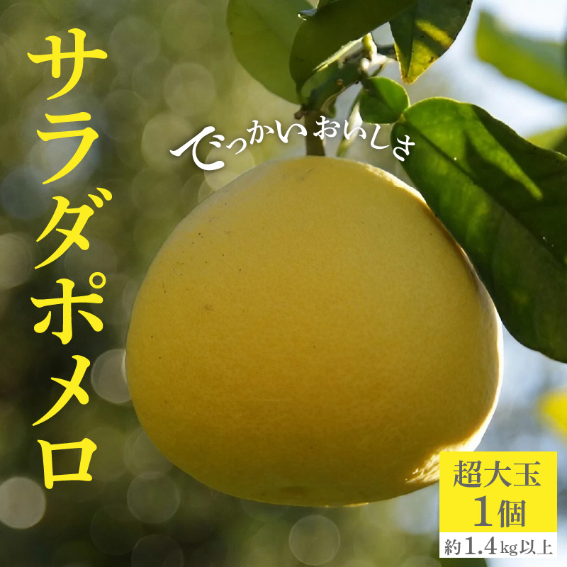 M72-0021_でっかいおいしさ「サラダポメロ」