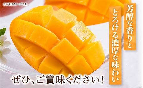 《2025年発送先行予約》【期間・数量限定】太陽のタマゴ 4Lサイズ 2玉_M354-001-03