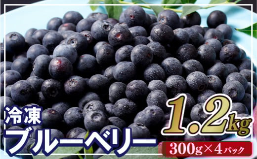C152a 冷凍ブルーベリー ｢あいあいの雫｣ 計1.2kg (300g×4P) ジップ付き小分け【堀内フルーツファーム】パウチ袋 果物 ブルーベリー フルーツ 小分け 長崎 佐世保 九州 冷凍 国産