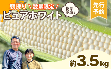 とうもろこし ピュアホワイト 3.5kg 茨城県産 トウモロコシ