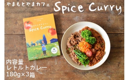 12P437 やまもとやまカフェ スパイスカレー180g×3箱セット（レトルトパウチ）
