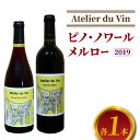 【ふるさと納税】赤ワイン（ピノ・ノワール、メルロー）2019ヴィンテージセット、合計2本｜アトリエデュヴァン