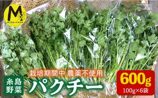 糸島産 パクチー 600g ( 100g × 6袋 )   糸島市 / MURA FARM [AFD001] 国産 パクチー エスニック アジアン オーガニック野菜