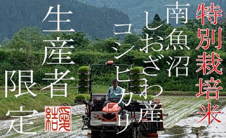 【令和7年産】【定期便2Kg×3ヶ月】【特別栽培米】 契約生産者限定  南魚沼しおざわ産コシヒカリ【2025年10月上旬より順次発送予定】