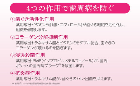 【ふるなびWEEK対象】【寄附額見直しました！】LION ハグキプラスリンスセット ｜ 日用品 ふるさと納税 歯磨き粉 歯磨き粉  FN-Limited-WE