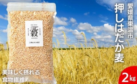 押しはだか麦 麦ごはん 食物繊維 愛媛県産 押しはだか麦【計2kg(1kg×2袋)】