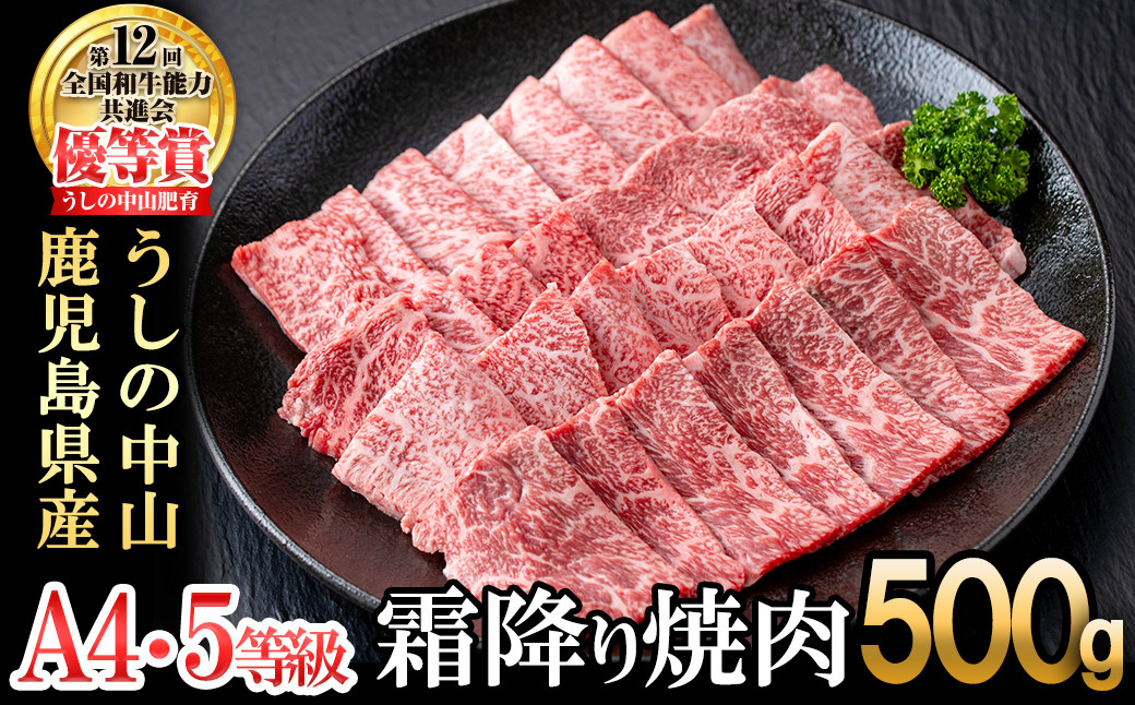 
            ＜A4・A5等級＞鹿児島県産黒毛和牛 うしの中山 霜降り焼肉用 500g 黒毛和牛 和牛 肉 牛肉 国産 九州産 鹿児島県産 焼肉 霜降り 日本一 b4-014
          
